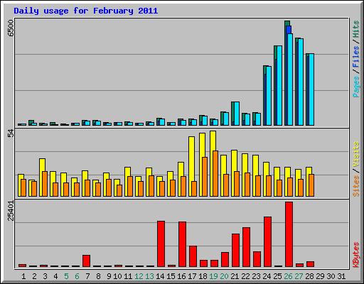 Daily usage for February 2011