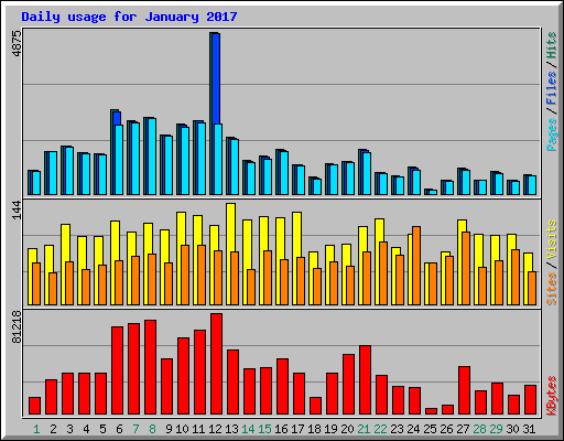 Daily usage for January 2017