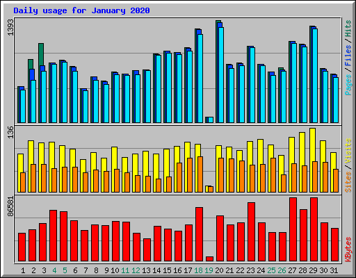 Daily usage for January 2020