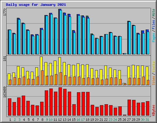 Daily usage for January 2021