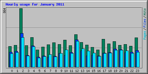 Hourly usage for January 2011