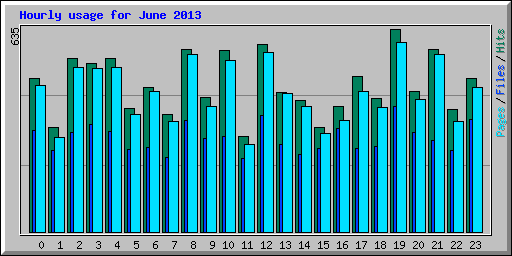 Hourly usage for June 2013