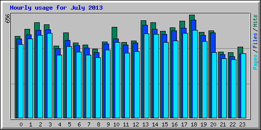 Hourly usage for July 2013