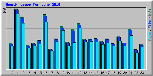 Hourly usage for June 2016