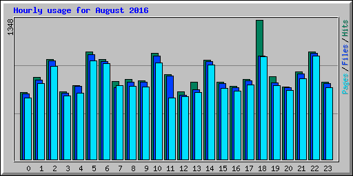 Hourly usage for August 2016