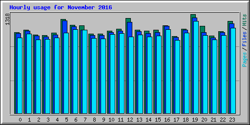 Hourly usage for November 2016