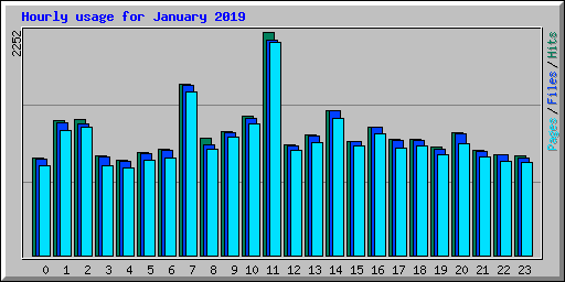 Hourly usage for January 2019