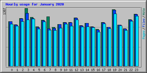 Hourly usage for January 2020