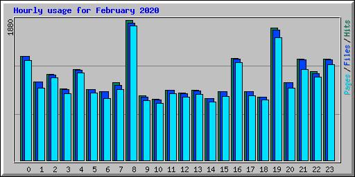 Hourly usage for February 2020