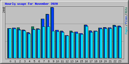 Hourly usage for November 2020