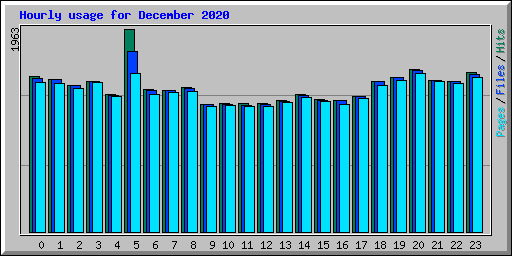 Hourly usage for December 2020