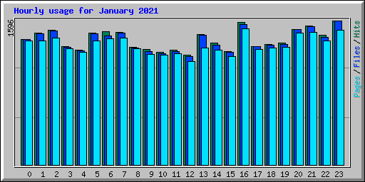 Hourly usage for January 2021
