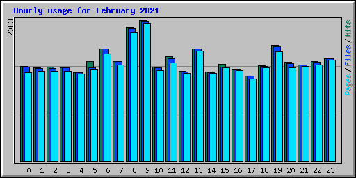 Hourly usage for February 2021