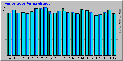 Hourly usage for March 2021