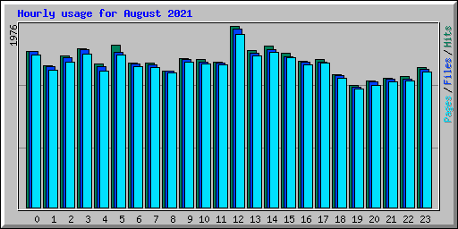 Hourly usage for August 2021