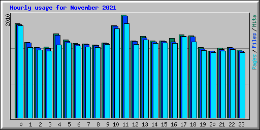 Hourly usage for November 2021