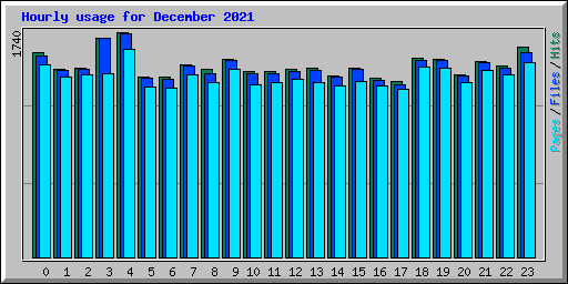 Hourly usage for December 2021