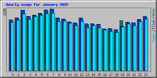 Hourly usage for January 2022